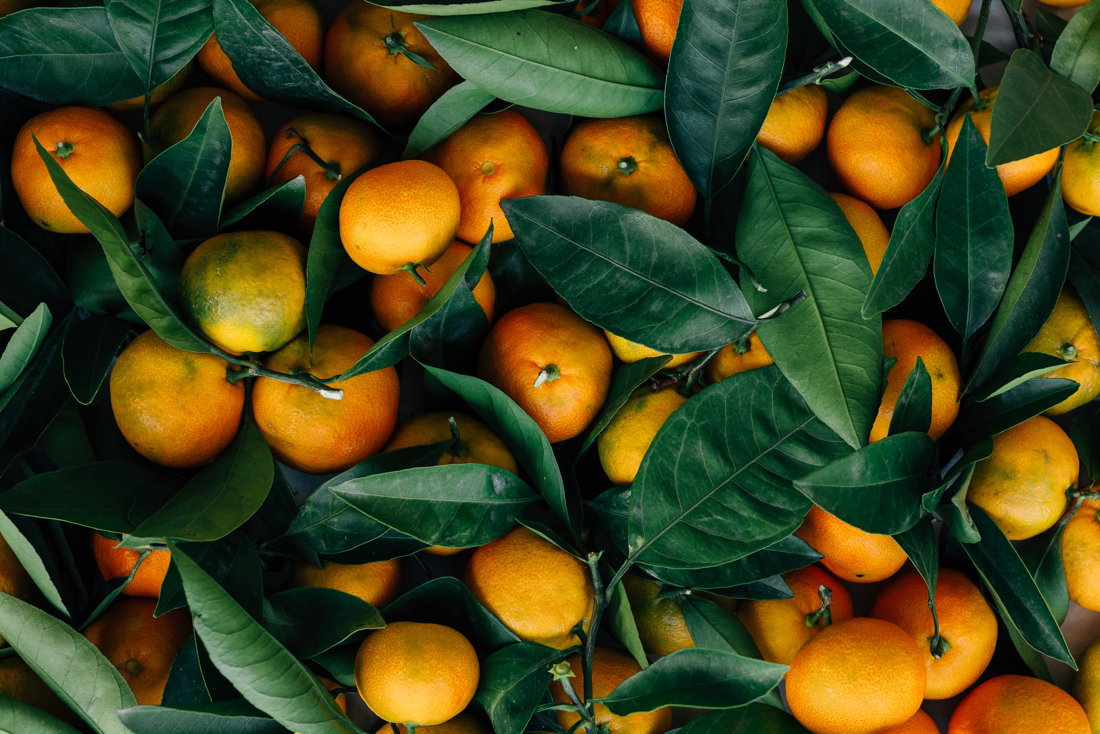 erol-ahmed-_MYcIi9DgYQ-unsplash